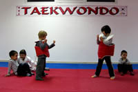 taekwondo mala skola